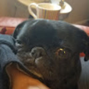 Meet your Posher, Johna